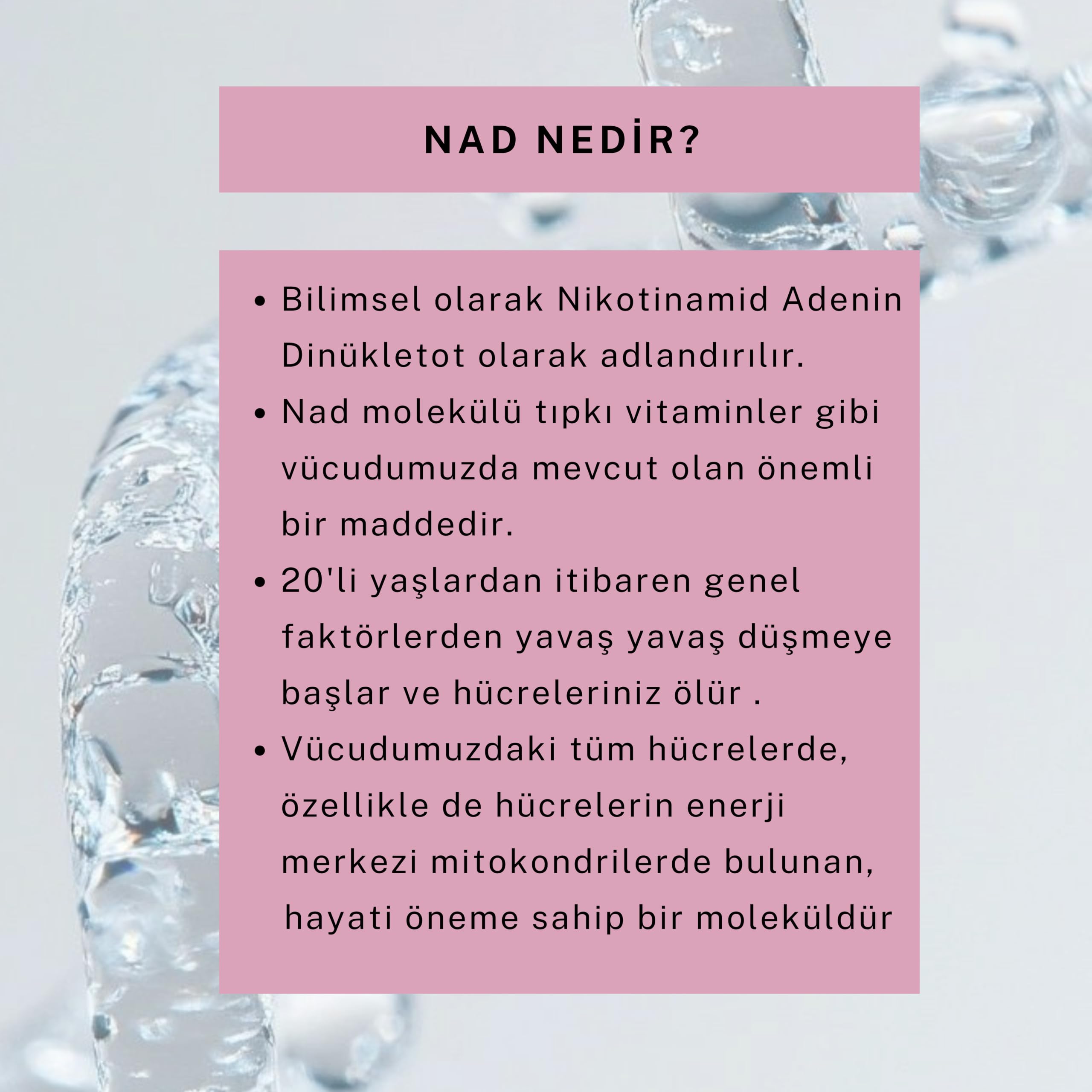 DermoNad Güneş Kremi Cilt Tonu Eşitleyici SPF50+ 50 ml (NAD+Arbutin,Zinc Hyalüronik Asit Calamine)