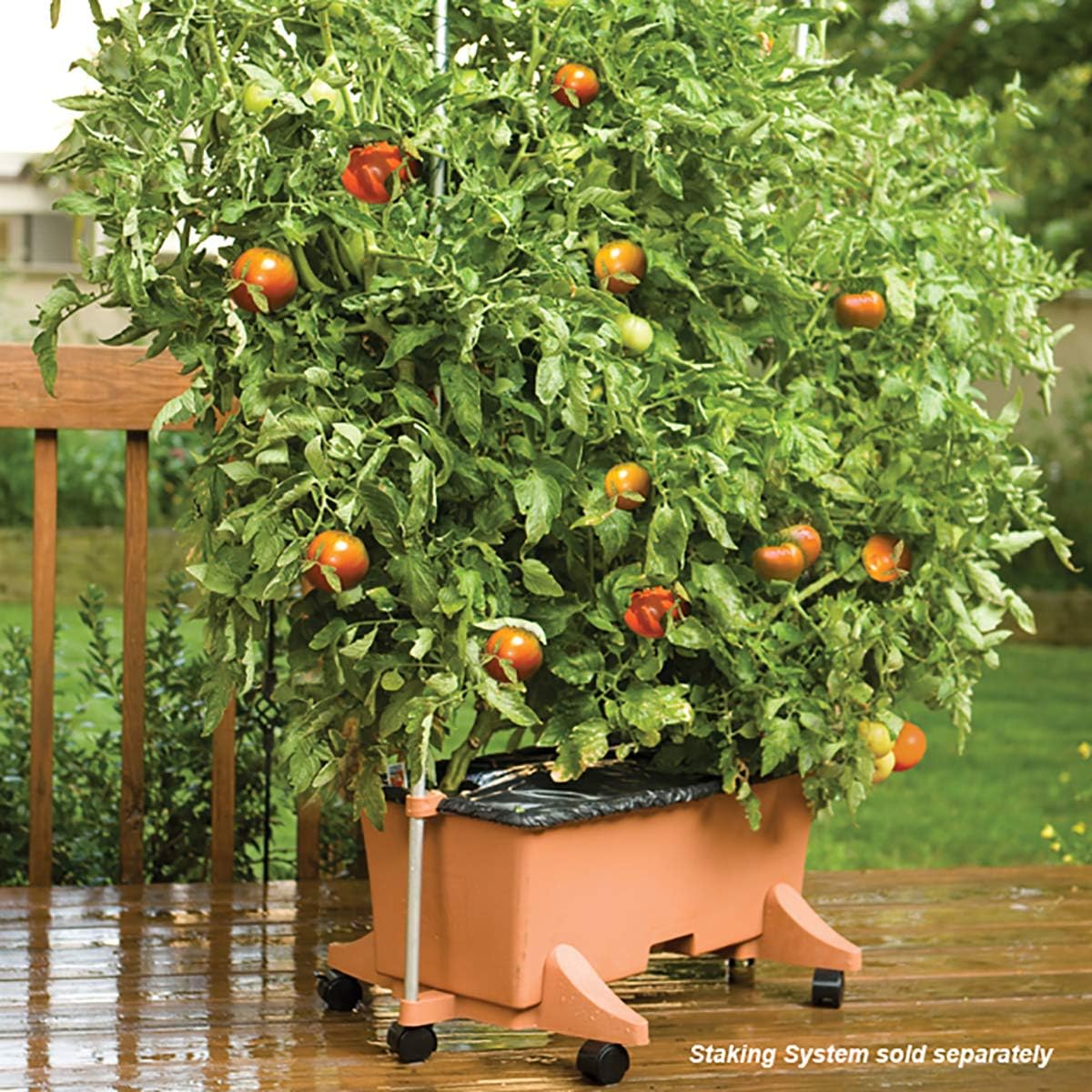 EarthBox Garden Kit (80155) + Replant Kit (81100)