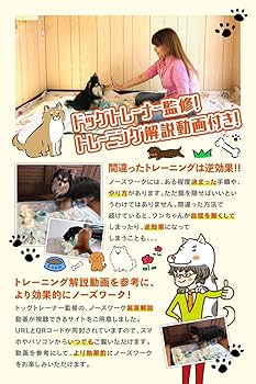 見本になります【honey milk latte】　ノーズワークマット Amazon | VASIRIE ノーズワークマット ドッグトレーナー推奨