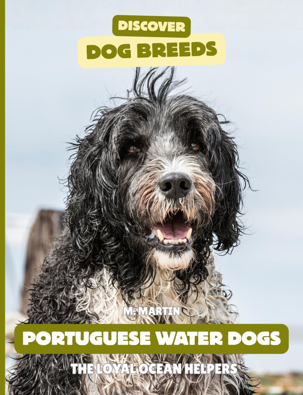 Portuguese Water Dog: The Loyal Ocean Helpers (Discover Dog Breeds)