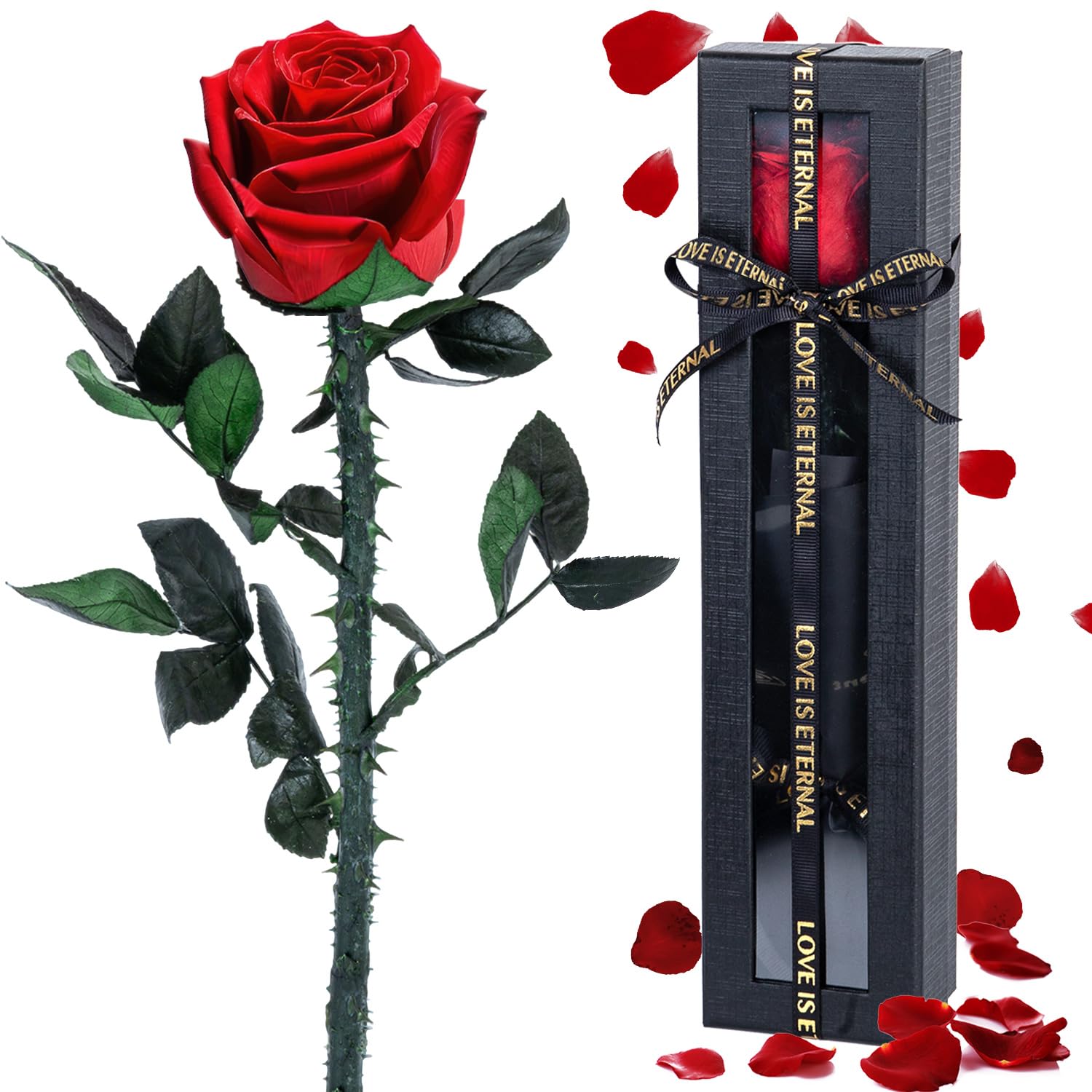 Rosa Rossa Conservata Vera In Scatola Con Cassetto E Collana Cuore Zirconia – Regalo Romantico Per Lei