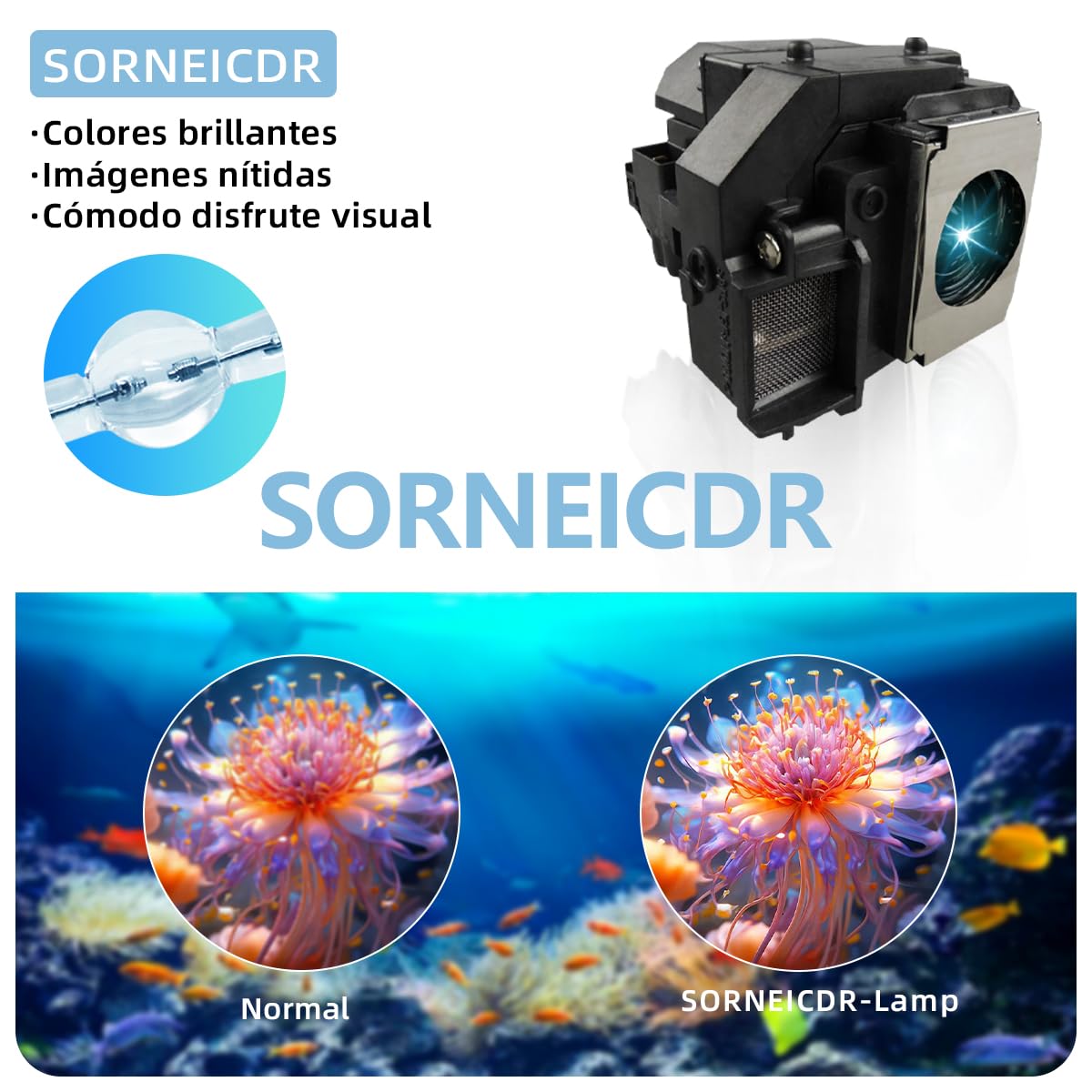 Lampada Proiettore Per Epson ELPLP56/V13H010L56 EH-DM3, H319A, H319B, MovieMate 60, MovieMate 62 Videoproiettore