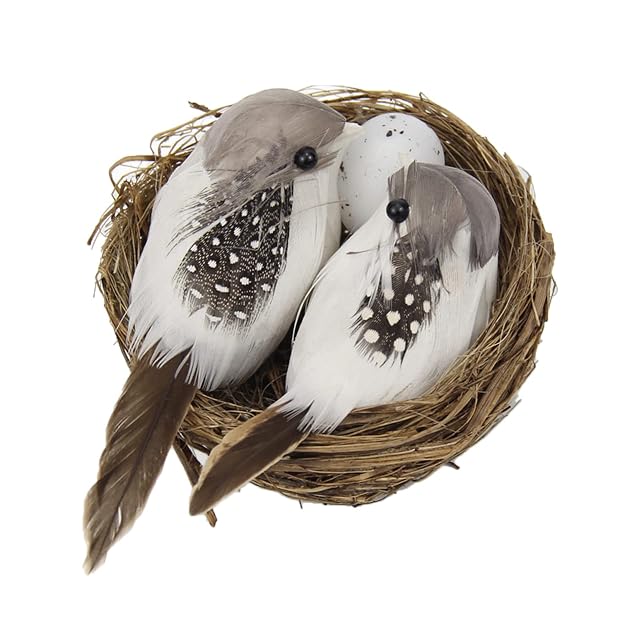 WWHJR Juego de pájaros artificiales y nido de pájaros y pájaros en miniatura