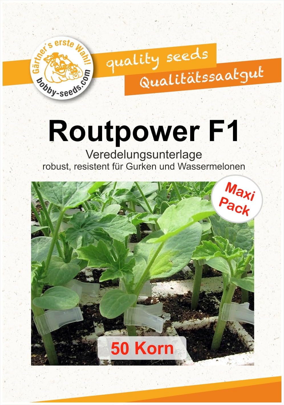 Landgurke Corinto F1 | Bio-Landgurkensamen Von Dürr Samen