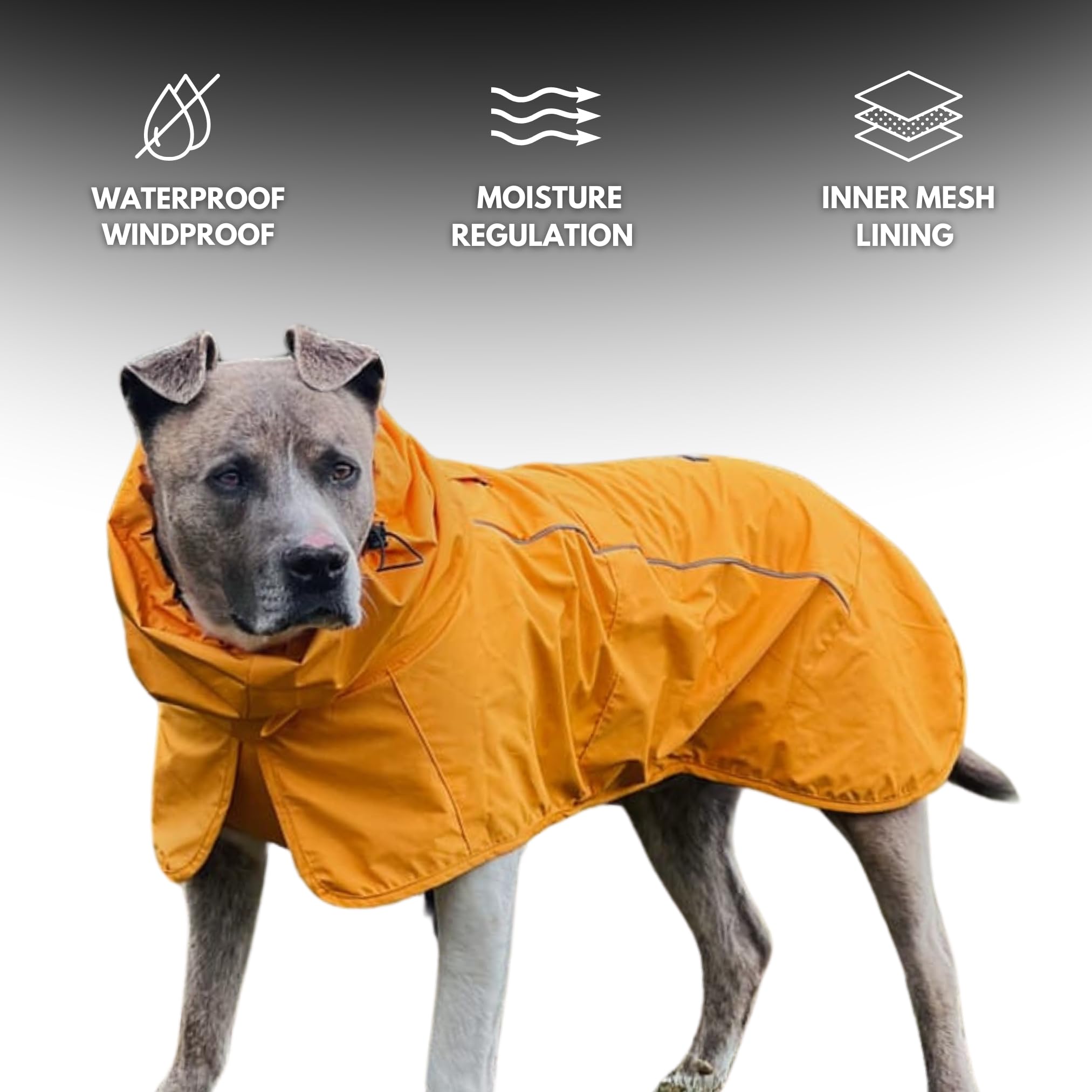 Spark Paws Imperméable pour chien, veste de pluie étanche et coupe-vent, pour chiens de petite, moyenne, grande et très grande taille, combinaison sèche à couverture corporelle complète réfléchissante