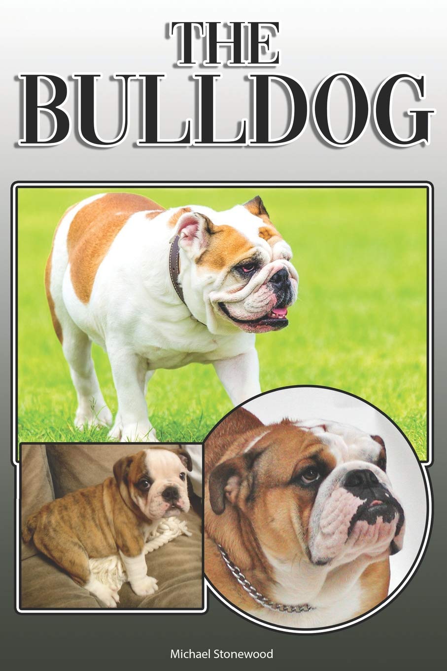 The Bulldog: A Complete and Comprehensive Owners Guide to: Buying, Owning, Health, Grooming, Training, Obedience, Understanding and Caring for Your Bulldog