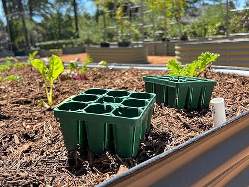 Miniatura 7 de Vego garden Bandejas de plántulas estándar sin tapa, paquete de 8 para plántulas, bandeja de inicio de cultivo reutilizable, kit de bandejas de