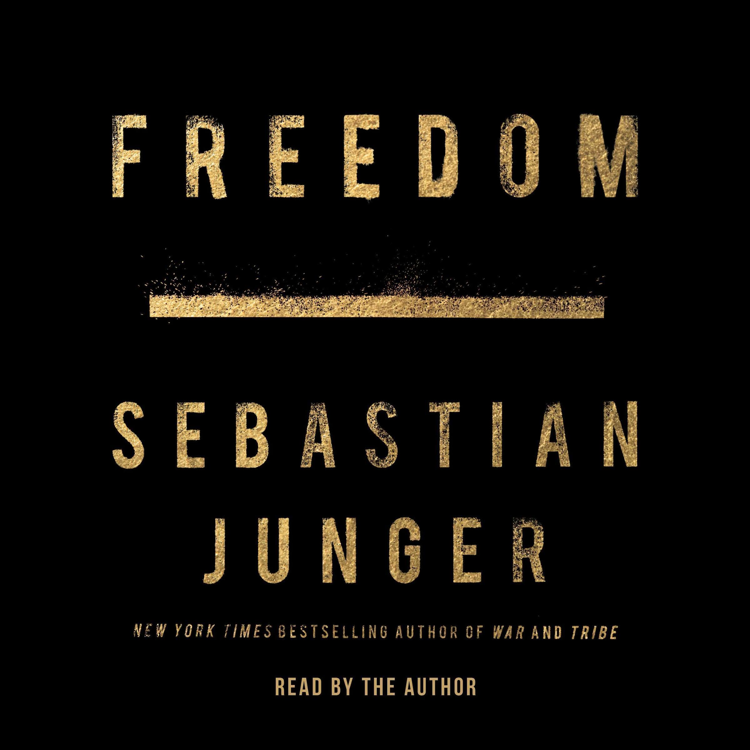 Cover art for Freedom