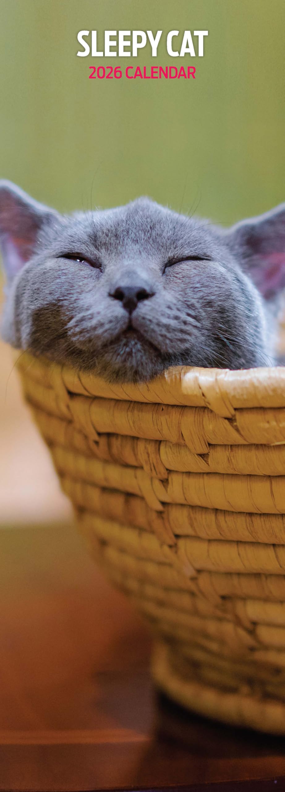 Sleepy Cat 2026 Slim Calendar