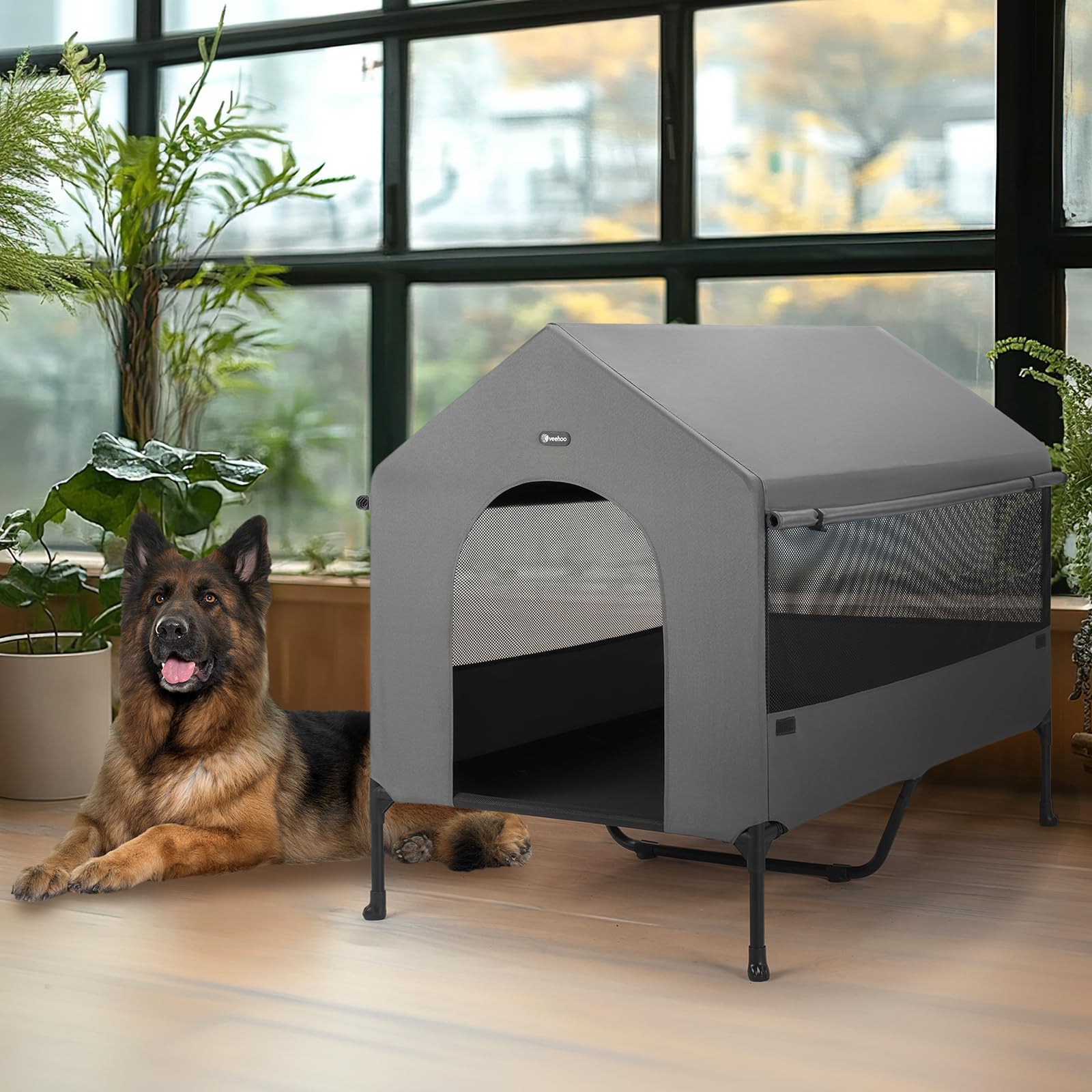 https://m.media-amazon.com/images/I/715oSucgbeL.jpg