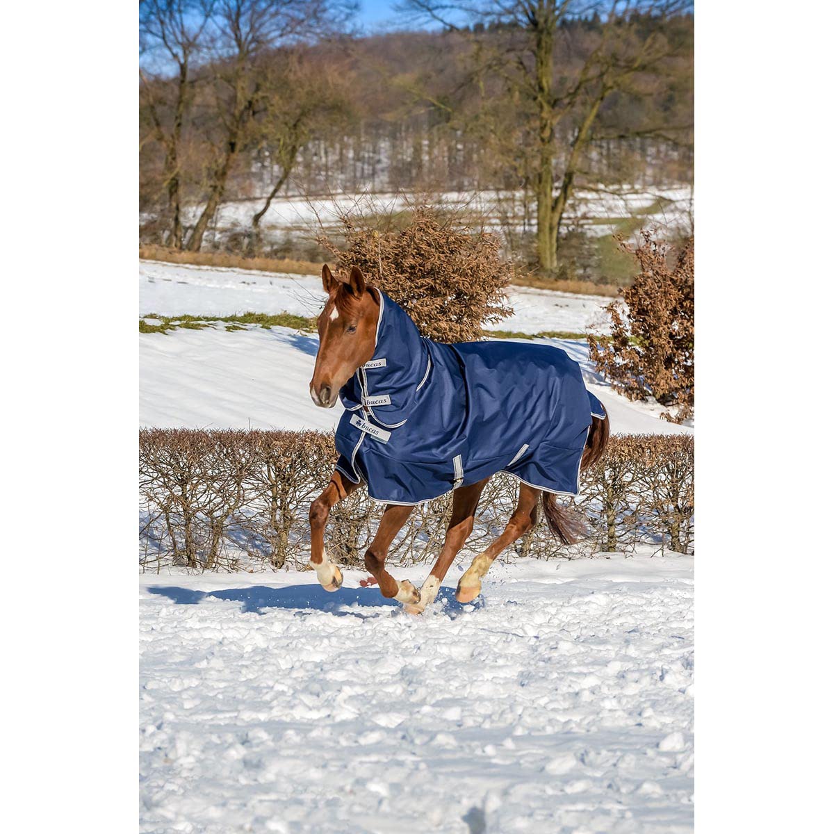 Bucas Freedom Turnout Light Full Neck - Navy