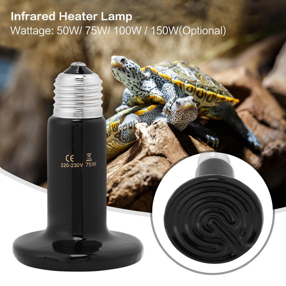 GOTOTOP Ceramiczna lampa ciepła gadów na podczerwień / żarówka/światło do żółwia gadów i amfibii jaszczurek 75 W/100 W/150 W (opcjonalnie) (150 W)