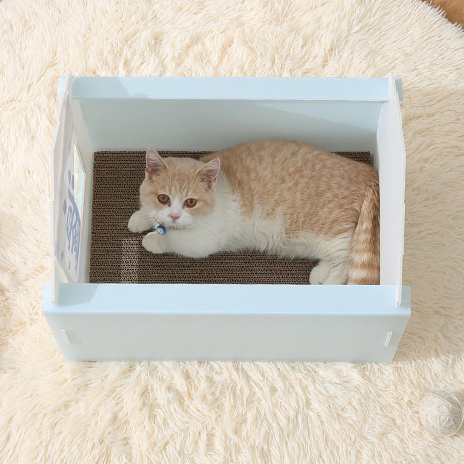 Amazon | [イノヤ] 犬小屋 屋外用 M 犬舎 室外 小型犬用 プラスチック
