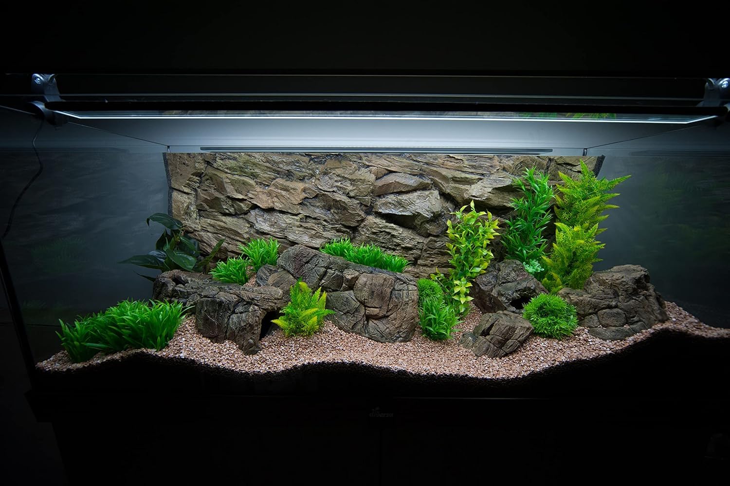 View 6