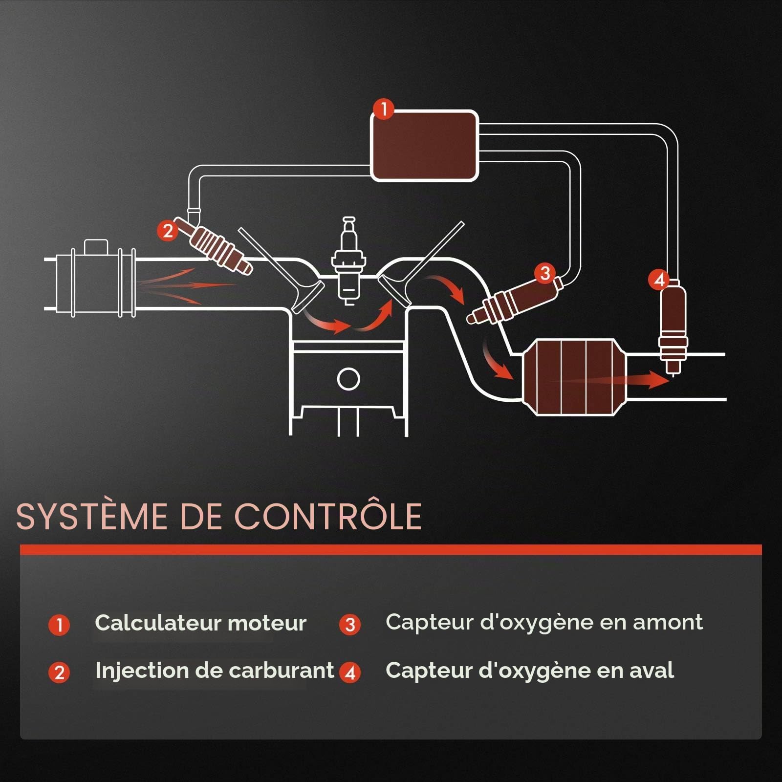 Frankberg Sonde lambda, capteur de contrôle, 4 broches | Compatible avec: KR0/1 SB SR FC0/1-Heute KS