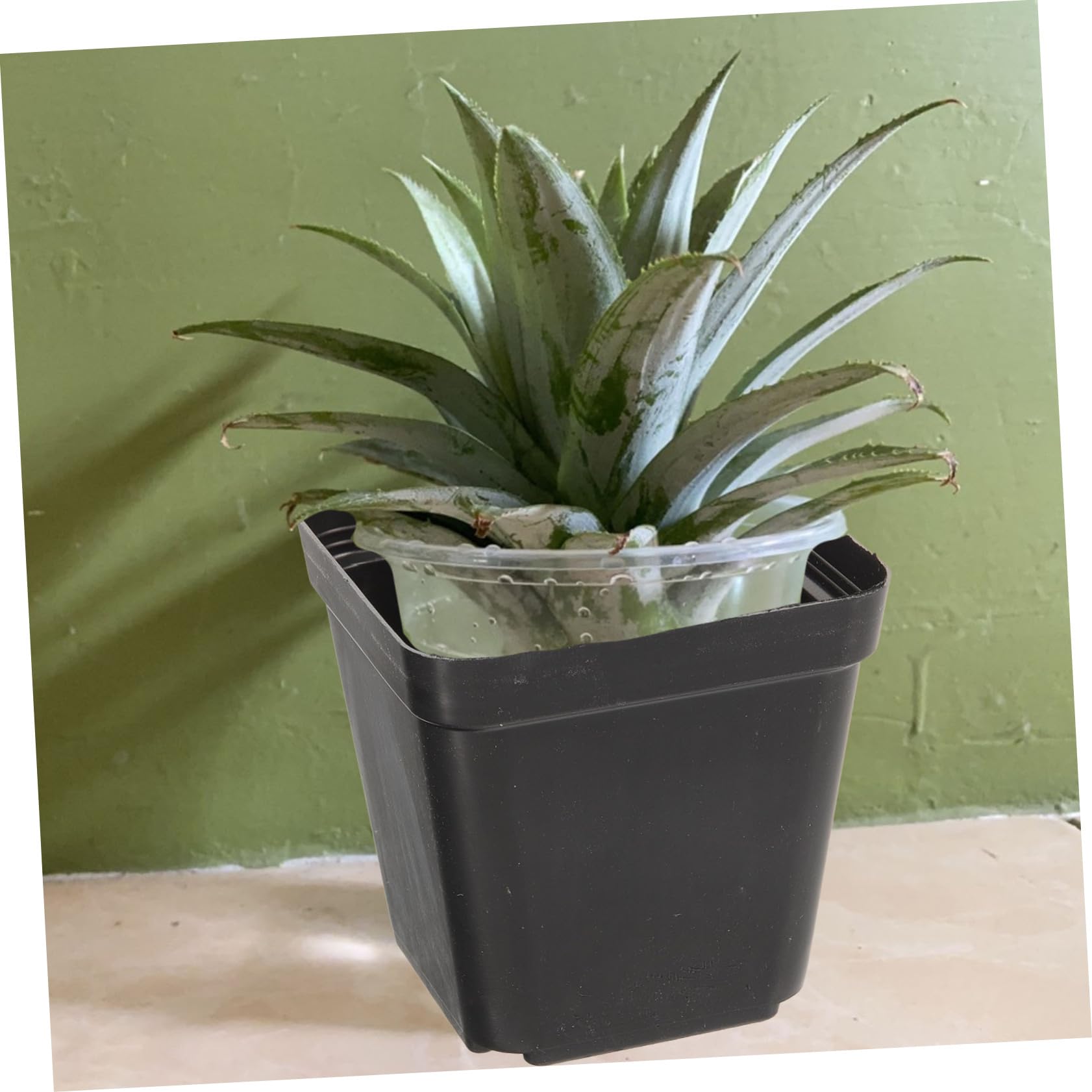 Milisten 120pièces Pots Carrés Profonds Plastique pour Plantes avec Drainage pour Semis Petits Pots à Fleurs Réutilisables