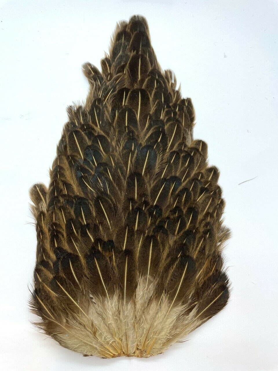Olax HEN CAPES IN NATURAL COLOURS, FLY FISHING, FLY TYING, ARTS & CRAFT (3 Pieces)