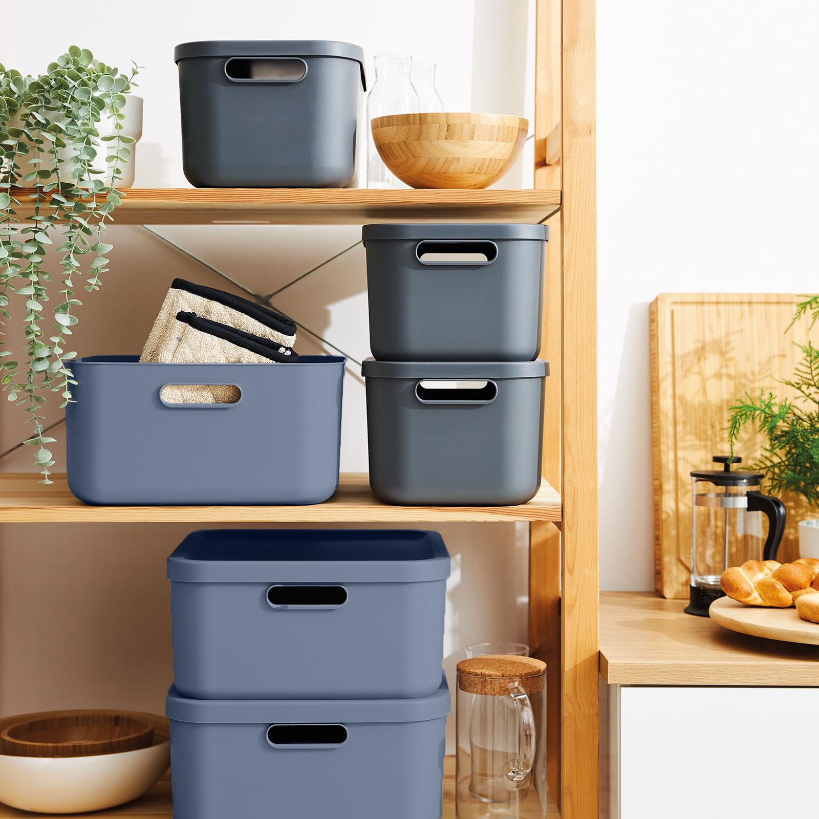 Rotho Albula 3er-Set Aufbewahrungsbox mit Deckel 1x55l +2x20l Kunststoff (PP recycelt) (Blau)