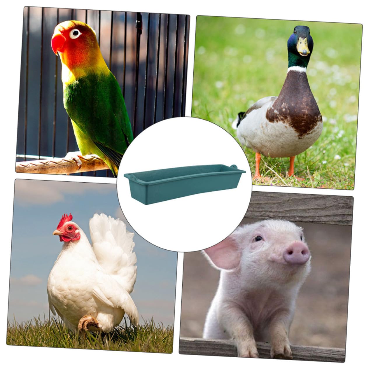 balacoo Chicken Cage Feeder Plastic Fodder Pot Livestock Feed Trough for Cattle Sheep 2 Pack Farm Feeding Equipment