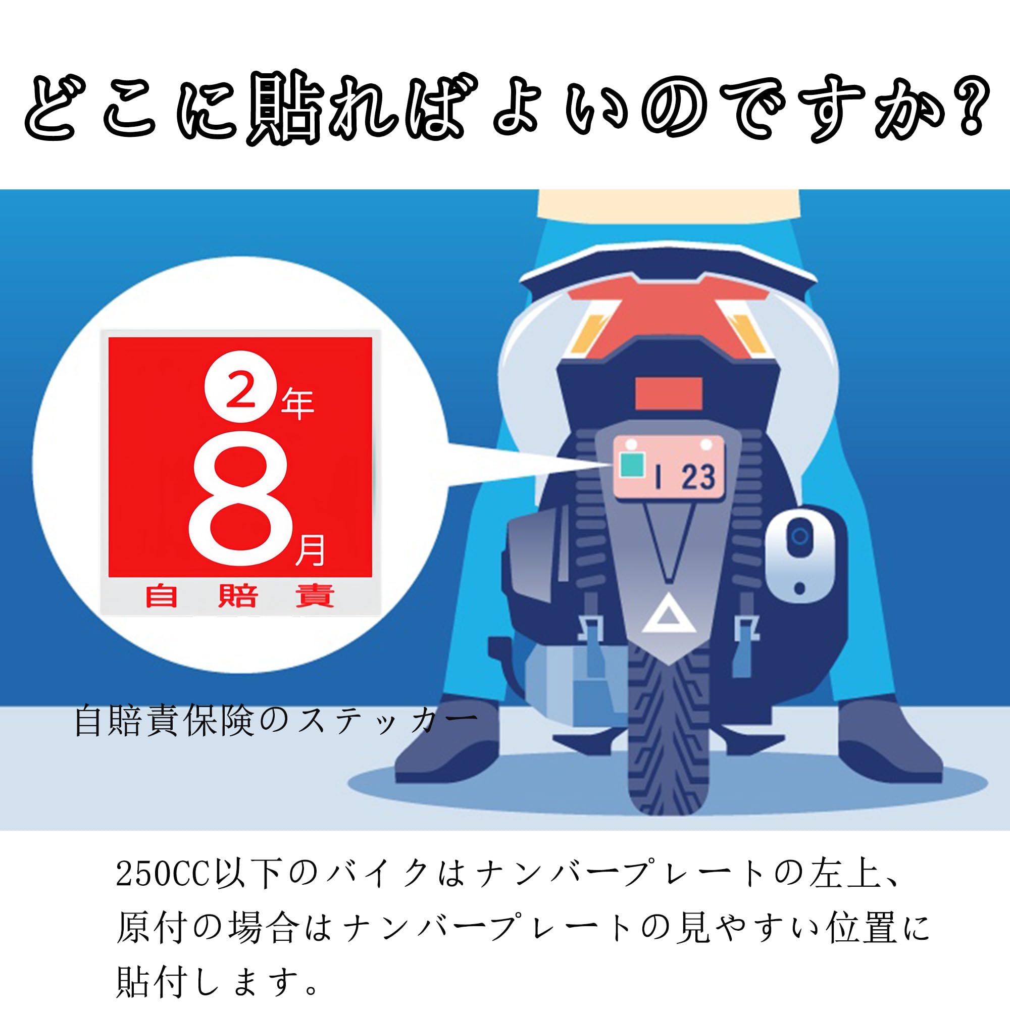 Picture　ピクチャー　ステッカー 新品 反射ライブ ZX ステッカー シール エンブレム DIO 3枚/1SET