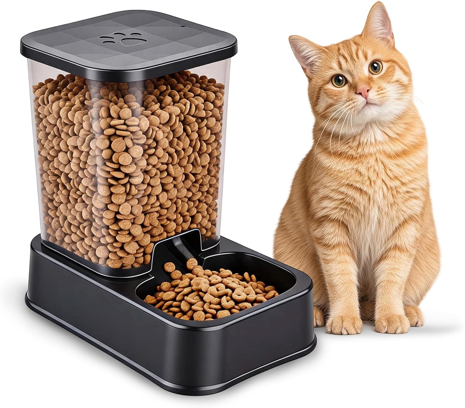 2LB Automatic Dog Feeder, Cat Food Dispenser Gravity Feeder with Visible Body | Cats & Dogs, Space-Saving Design and Large Capacity