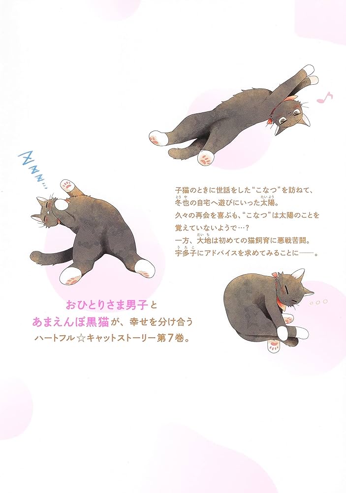猫には猫のごはん セット 猫には猫の猫ごはん。 コミック 1-7巻セット |本 | 通販 | Amazon