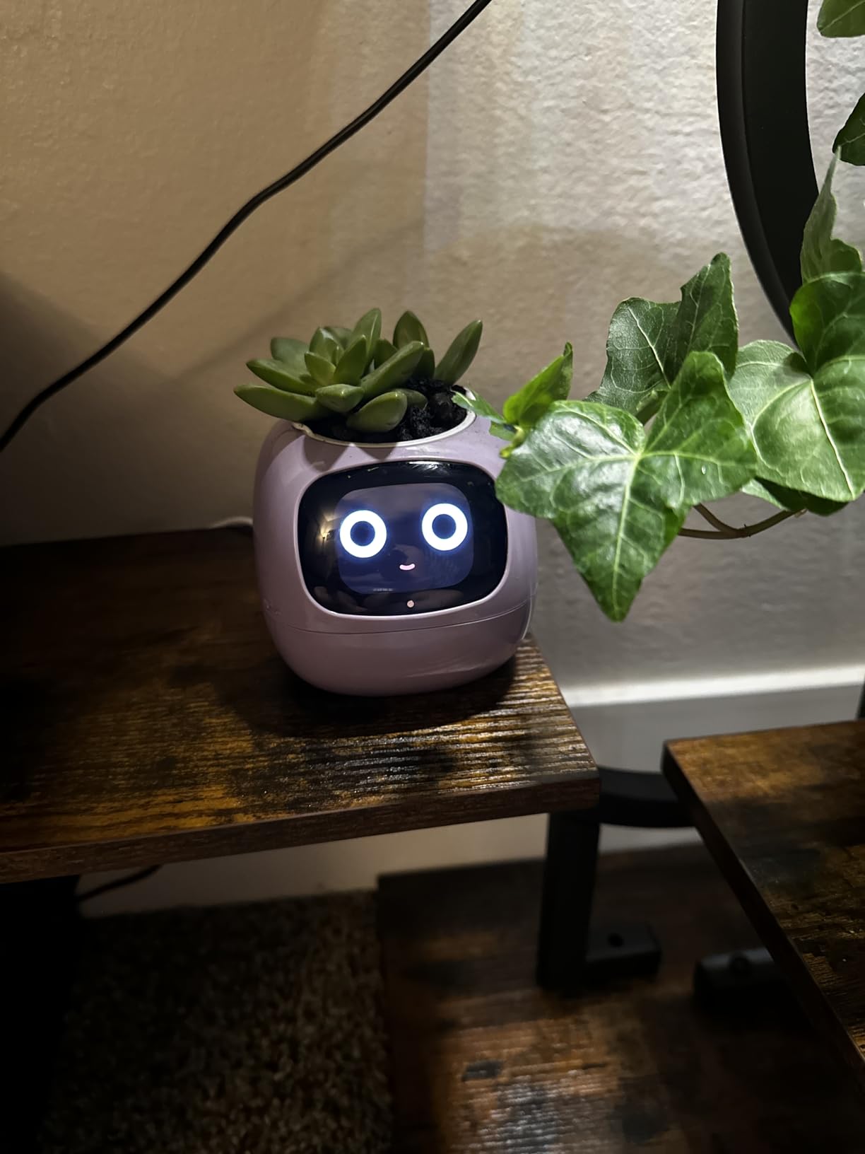 Plantagotchi - AI Smart Planter photo review