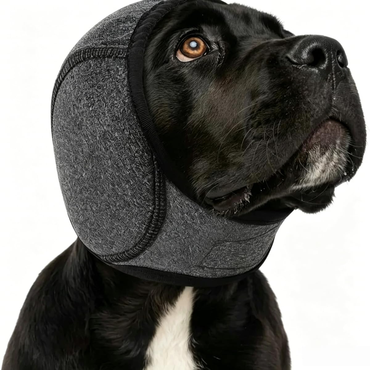Dog Ear Cover with Calming No Shake Wrap, Grey, Medium