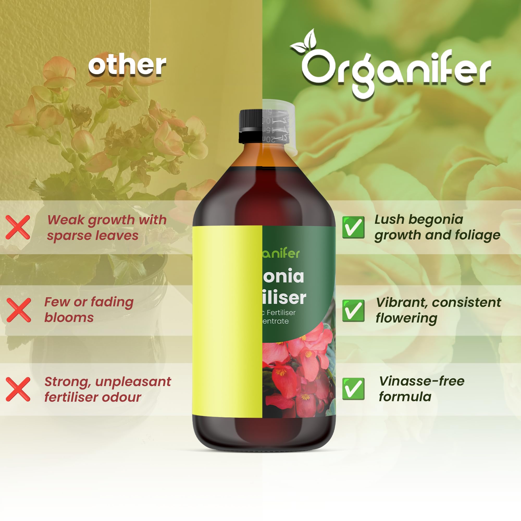 Begonien Flüssigdünger - 3x1L - NPK 2-1-8 | Flüssig-Pflanzendünger Für Üppige Blätter & Leuchtende Blüten - Fördert Wurzeln & Vitalität - Organifer