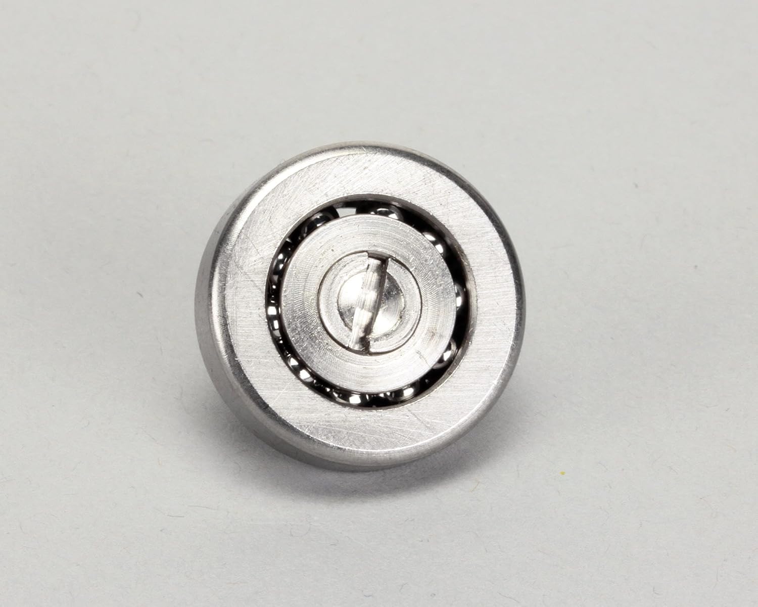 Wells 2P-30483 Bearing Roller Track-R116 Each