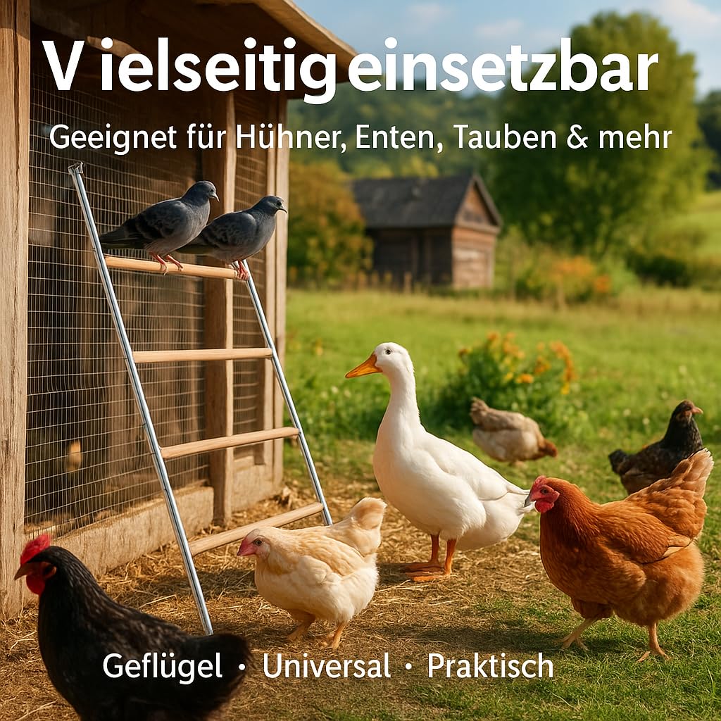 Stabile Hühner-Sitzleiter – Große Sitzstange für Hühner, Tauben & Enten, Robustes Material, wetterbeständig