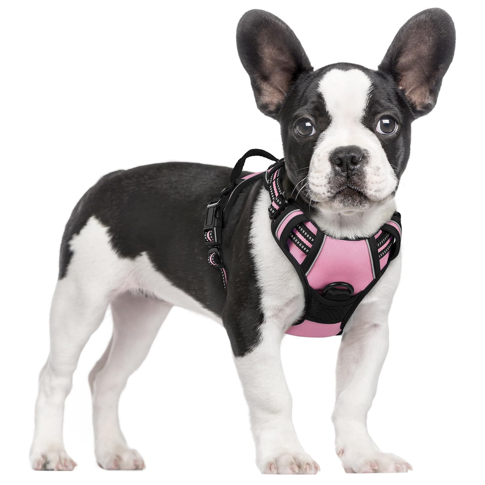 rabbitgoo No Pull Dog Harness