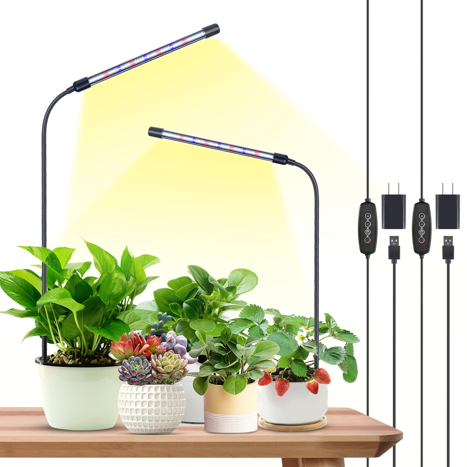 How to Propagate Small Indoor Plants?