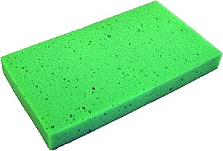 Bon 83-267 Replacement Pad for Swiss Cheese Float, 5 x 9", Green