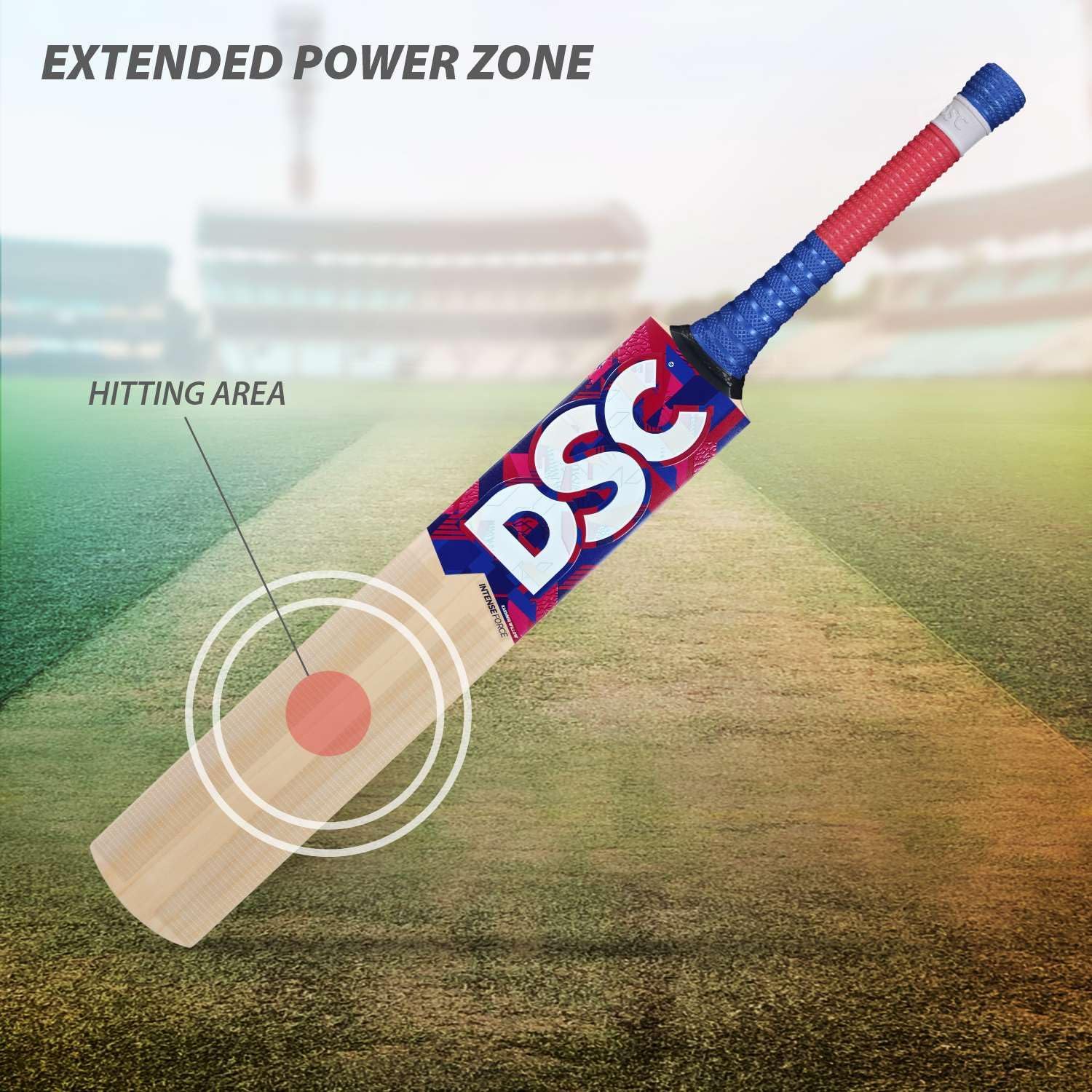 DSC Intense Force Kashmir Willow Cricket Bat for Leather Ball |Size-2 | Light Weight | Free Cover|