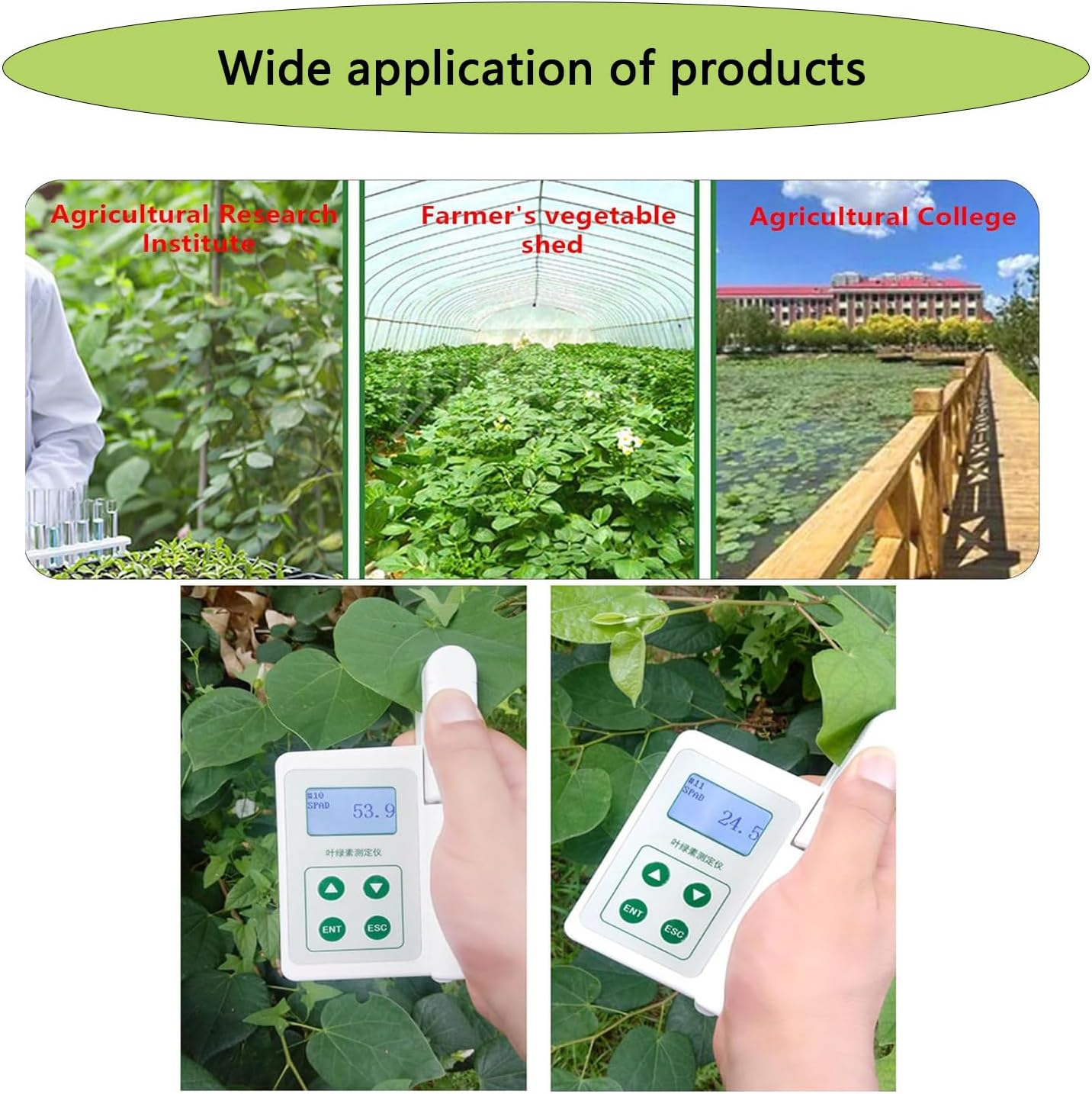 User clamping a leaf with the Portable Chlorophyll Meter for direct measurement