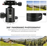 Vista 6 de SIRUI Mini trípode de escritorio de 13.5 pulgadas con cabeza de bola de 360°, trípode de aluminio portátil para cámara DSLR, videocámara, carga