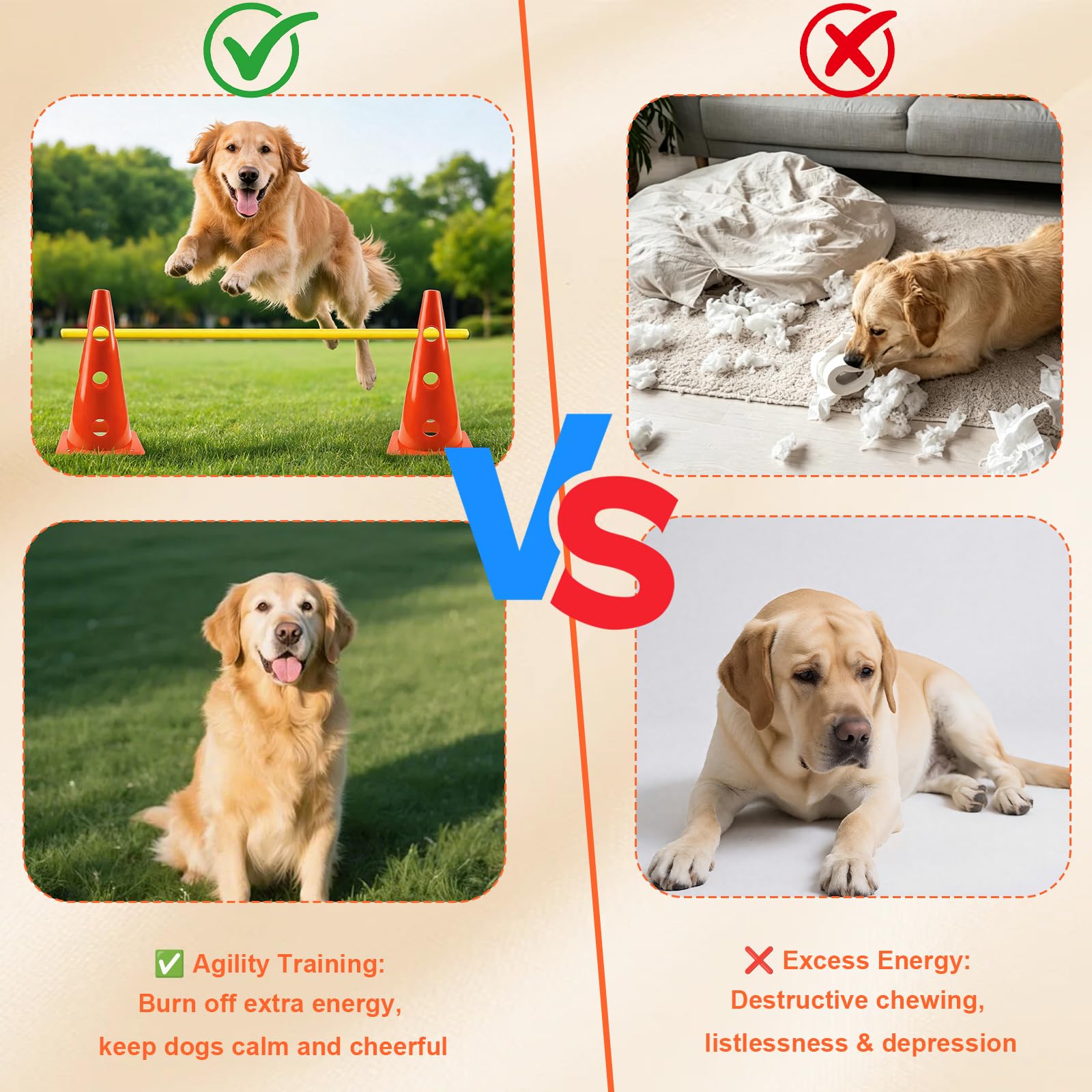 Set Agility per cani e bambini, set di ostacoli sportivi con 8 coni (23 cm) + 4 aste (80 cm), allenamento di coordinazione per cani, bambini, sport di squadra e calcio