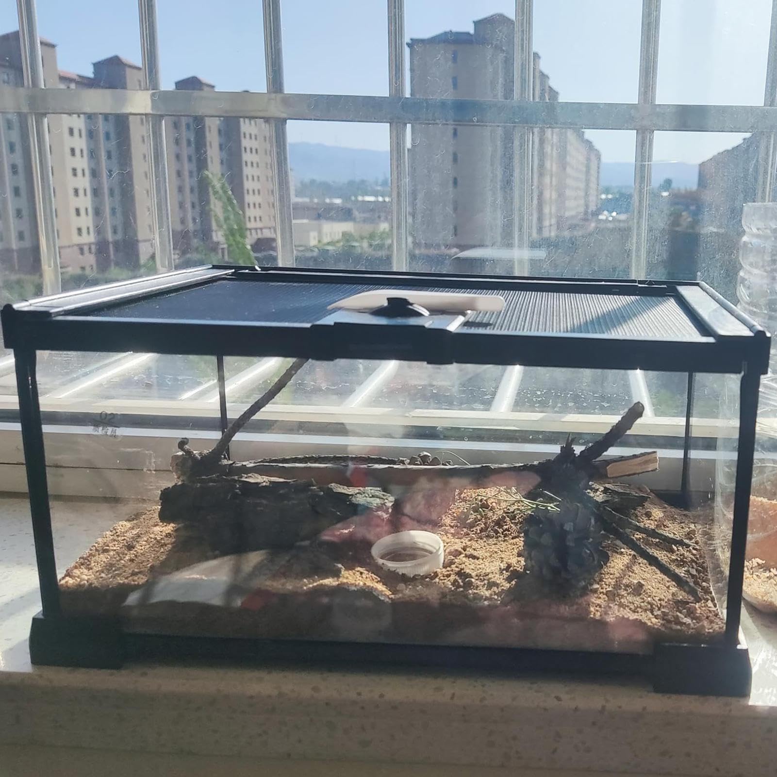Reptilien Amphibien Tank Tragbar Sicher Klarglas Belüftet Sicher | Echsenbecken mit Rundumsicht Geeignet für Schildkrötenkäfig, Echsenbehausung, Schlangengehege, Geckobecken,