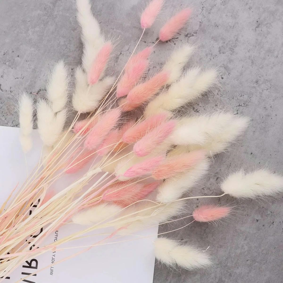 Ylrean Mix B 60Pcs Mix Lagurus Bunny Tails Grass Decor Home Cake Decor Rabbit Tails Dried Flowers Bouquet For Boho Table Decoration-60Pcs