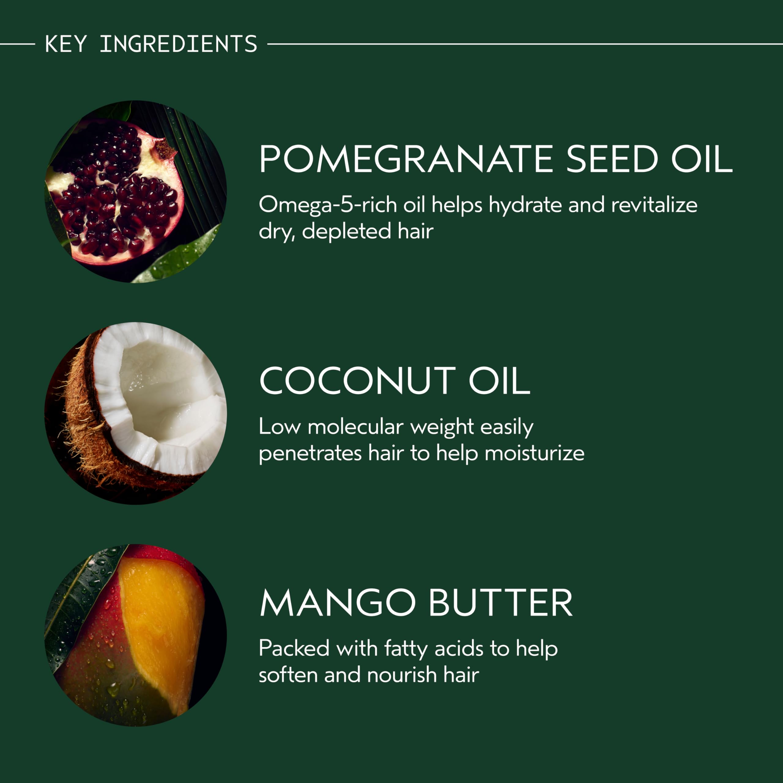Aveda Nutriplenish Curl Gelée Moisturizing Styling Gel