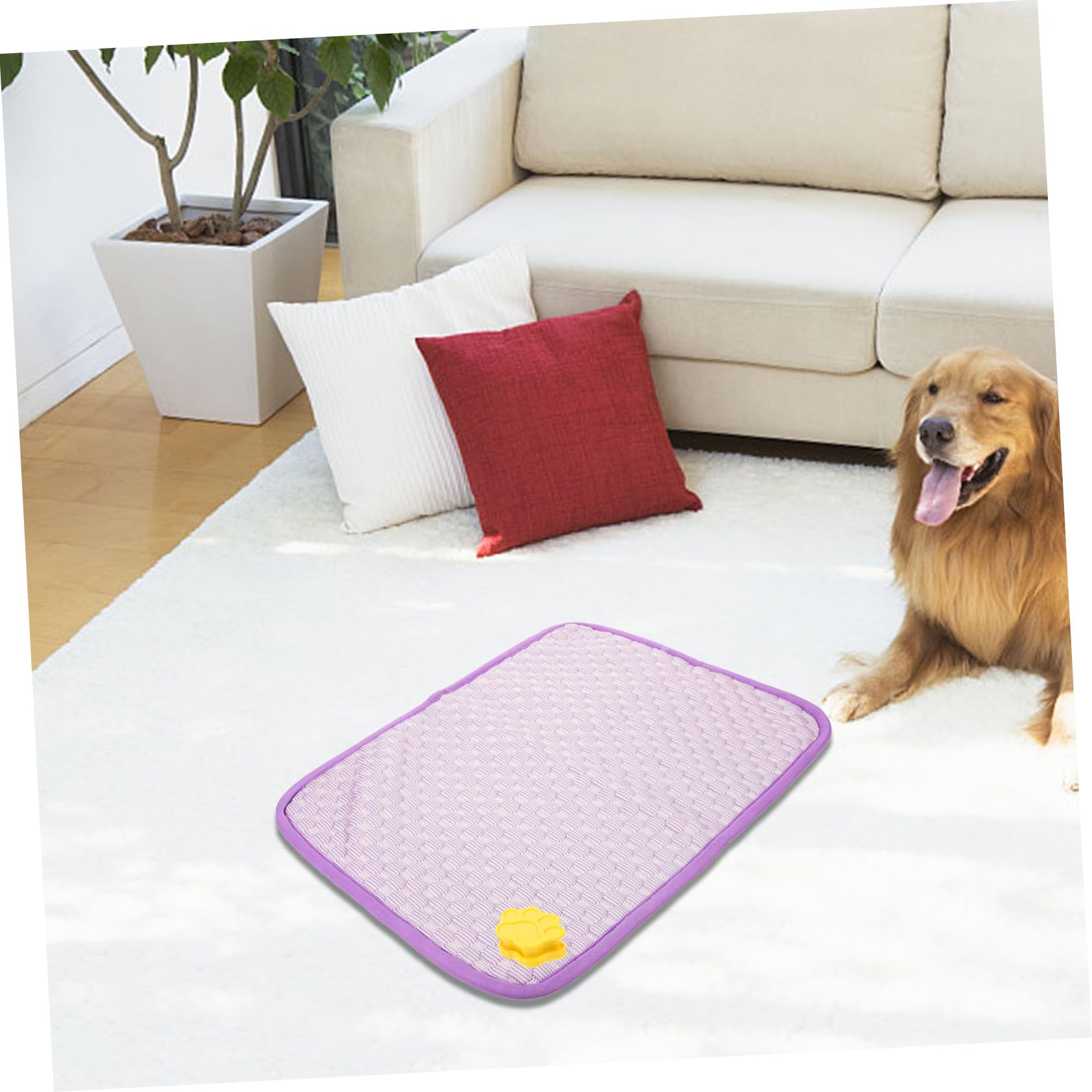BESPORTBLE 6stücke Hund Urinierpad Mit Magnet Rutschfester Klauen-Design Kleber Für Einfache Installation Flächen Für Hundetraining Und Sauberkeit