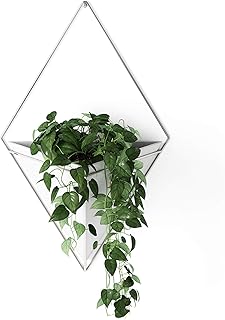 Umbra Trigg Hanging Planter Vase Wall Decor, Pot and Container for Succu...