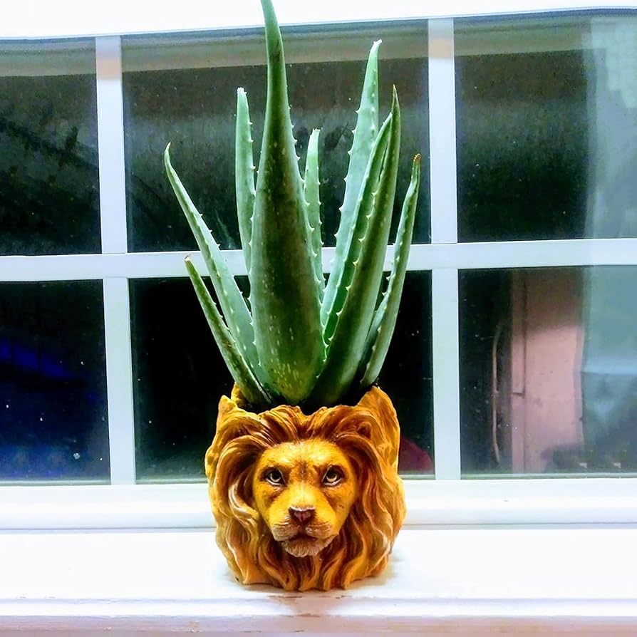 ライオン セラミック ポット 鉢植え ビンテージ 一点もの 希少品 植木鉢 Amazon.co.jp: 植木鉢ライオン樹脂植木鉢、かわいい動物の形を