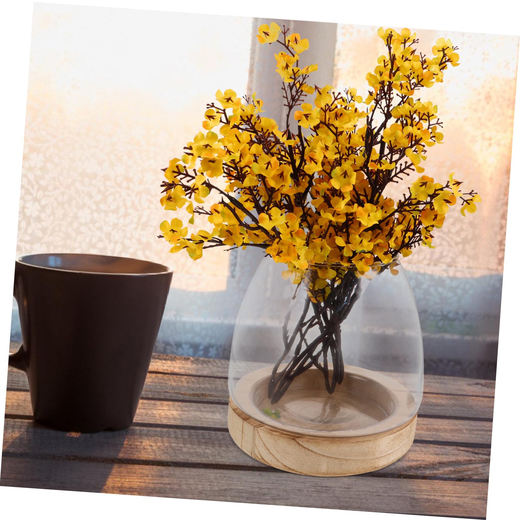 Garneck Vase Hydroponique Verre avec Base Plante Intérieur Propagation Eau pour Bureau Décoration Aquarium et Terrarium Compact