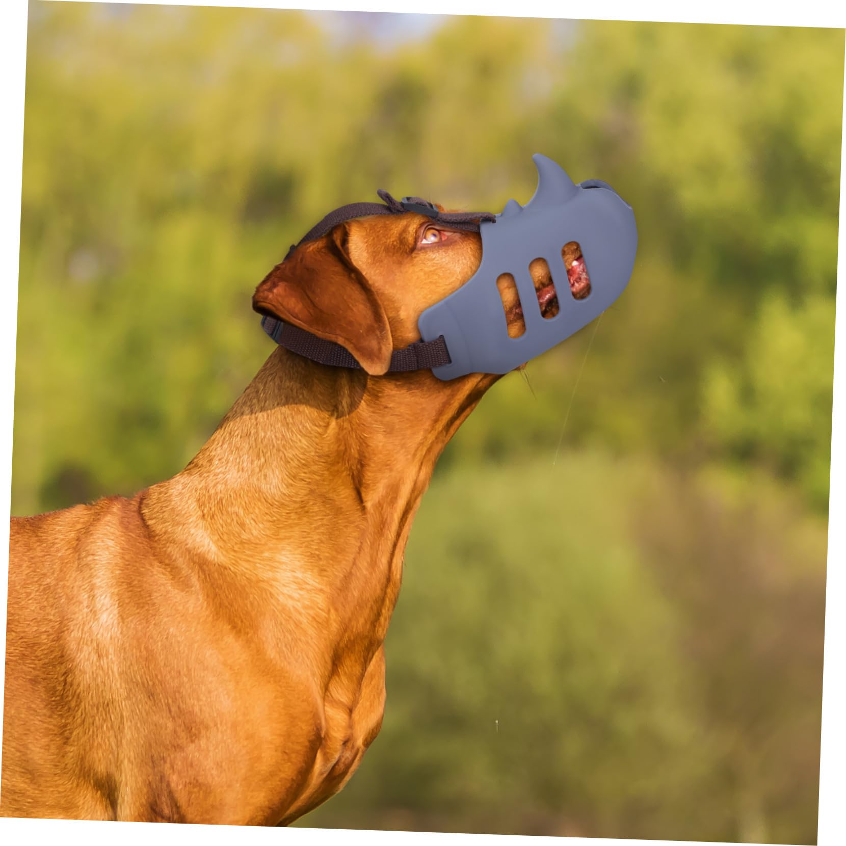 VICASKY 3 pièces Muselière Douce Réglable pour Chiens Moyens et Petits Anti-Morsure et Anti-aboiement Confortable et Respirante Lot