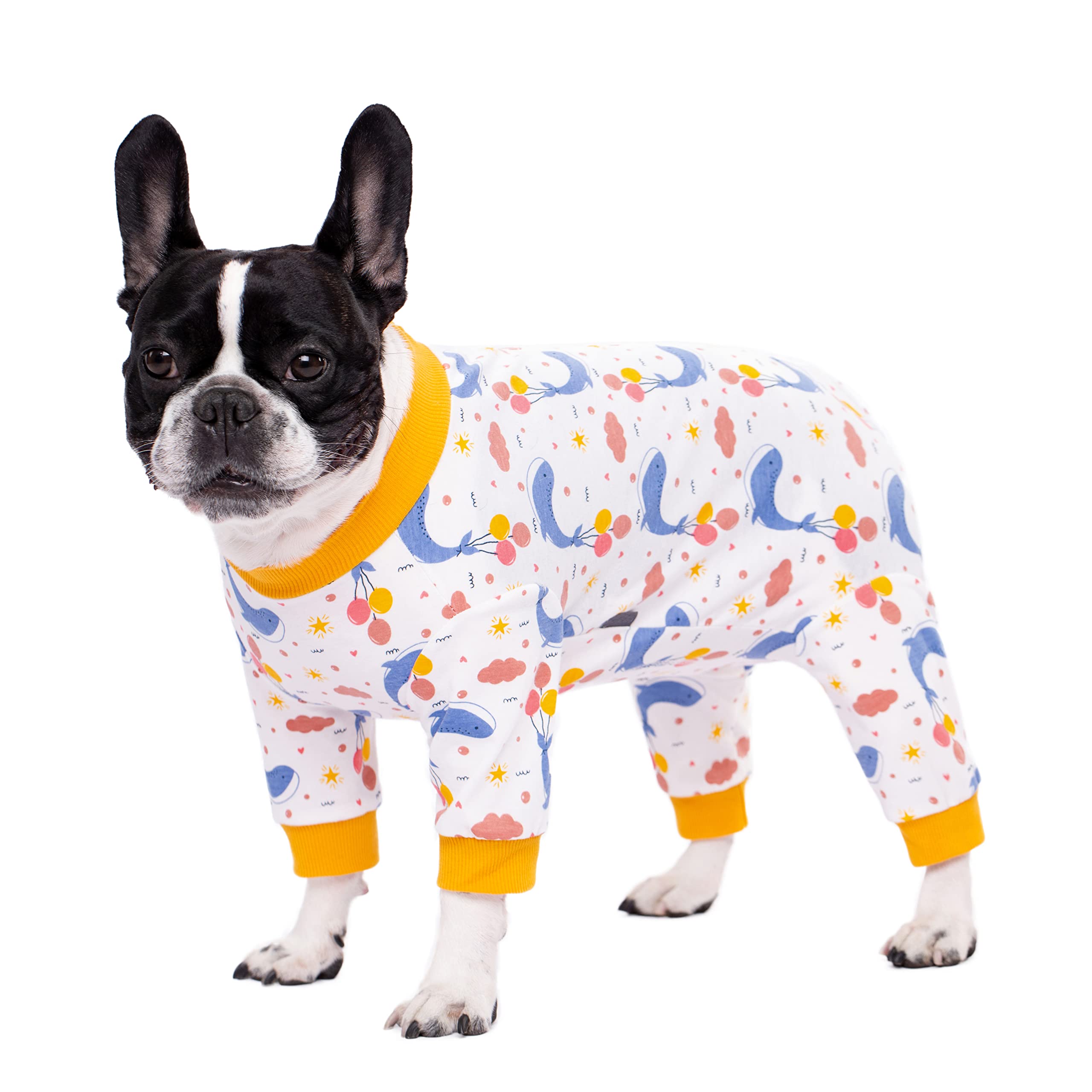 Dog Surgery Recovery Suit for Small Dogs, Four-Leg Long Sleeve