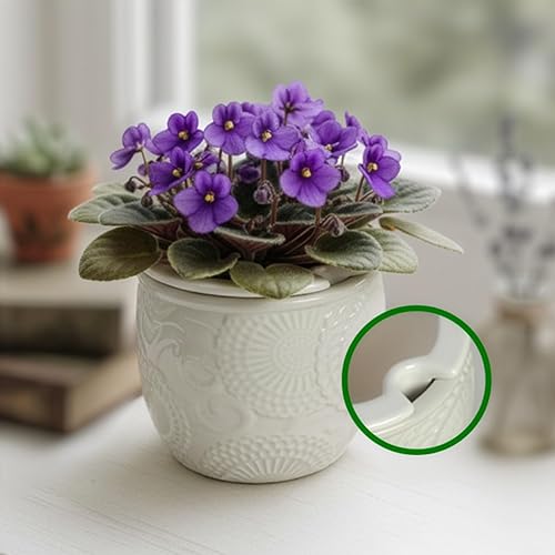 6.5” Ceramic Self Watering African Violet Planter with Embossed Floral