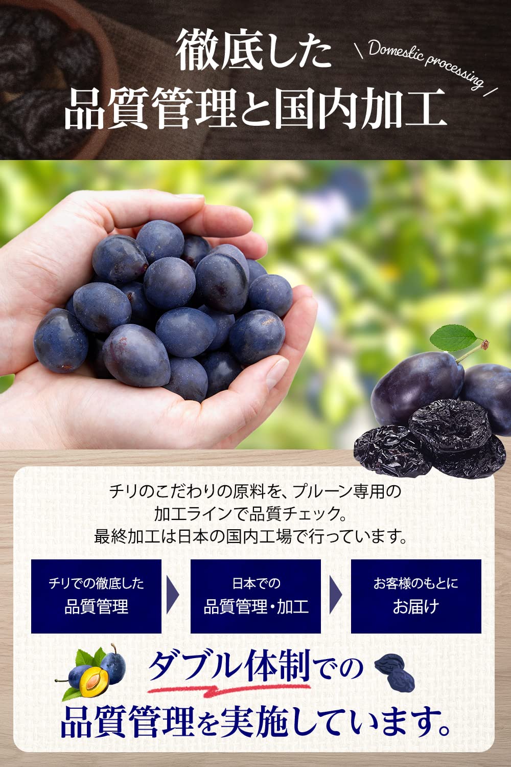 Amazon.co.jp: [2 Star Award] Prunes Additive-Free, Seeds, Dried