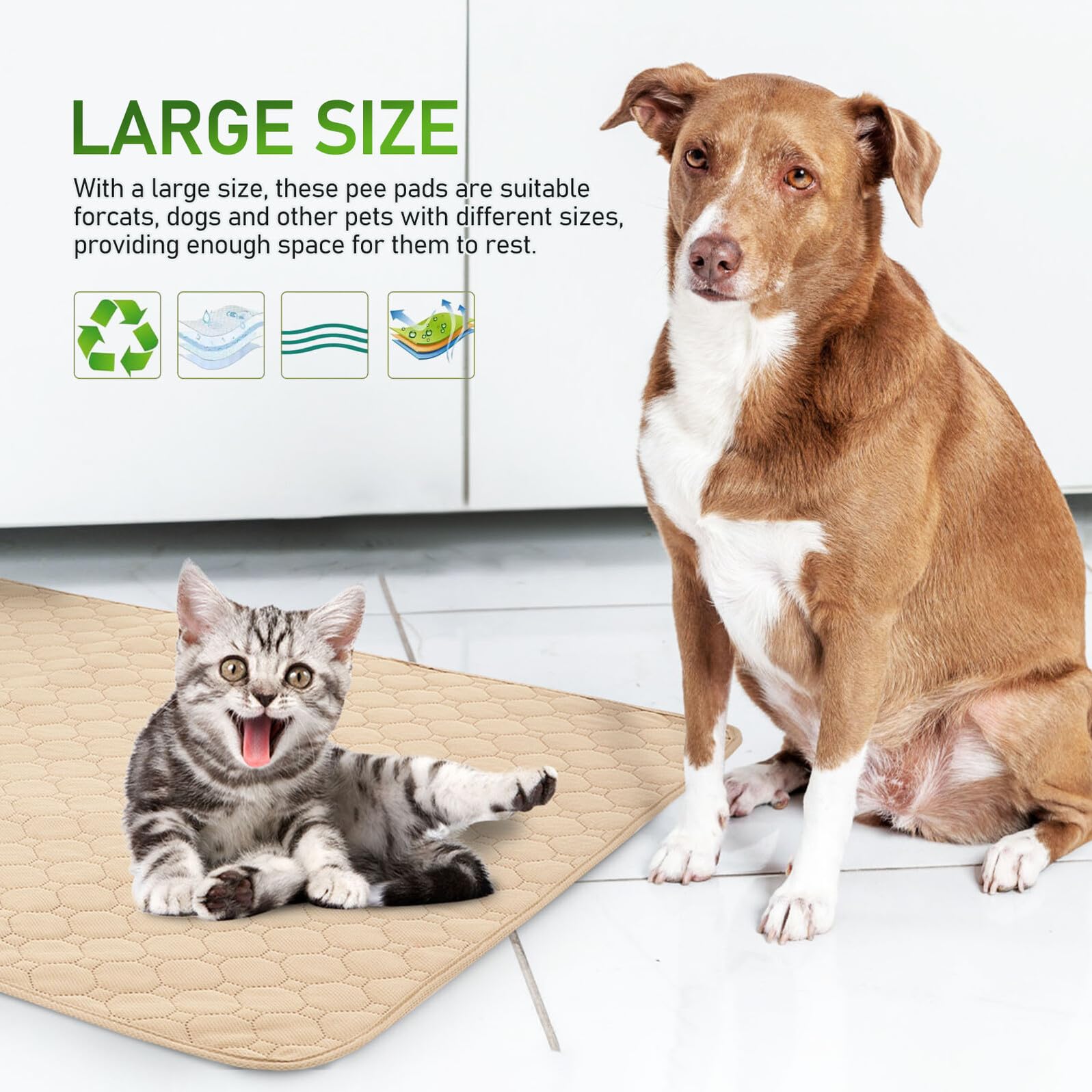 Veemoon 2 pezzi Tappetino Igienico per Cani e Gatti Assorbente Lavabile con Base Antiscivolo per Addestramento Cuccioli e Protezione Divani e Sedili Auto